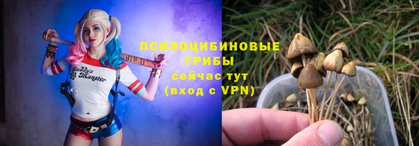 мескалин Дмитриев