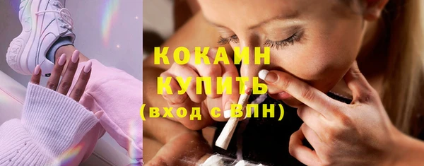 apvp Гусь-Хрустальный