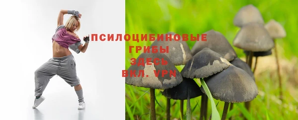 apvp Гусь-Хрустальный