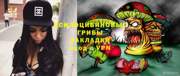 мескалин Дмитриев