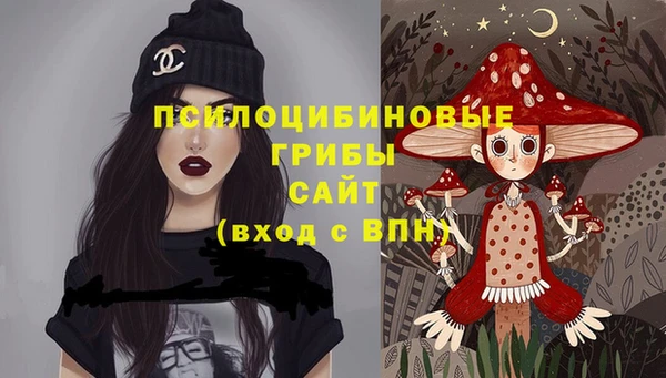 эйфоретик Гусев