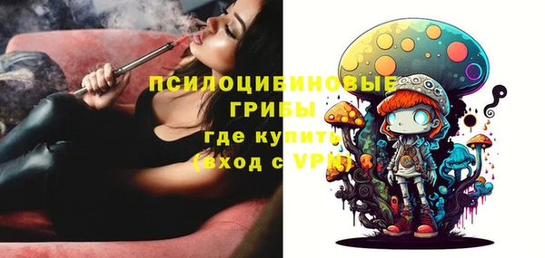мескалин Дмитриев
