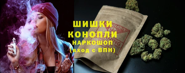 амф Дмитров
