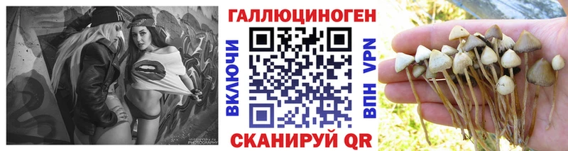 Псилоцибиновые грибы MAGIC MUSHROOMS  Дубна 